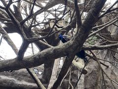 -长鹿旅游休博园