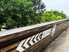 -昆山城市生态森林公园