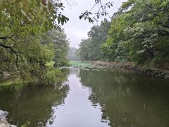 -颐和园
