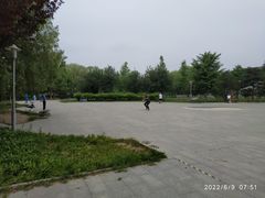 -望湖公园