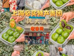 -沈大成(南京东路店)