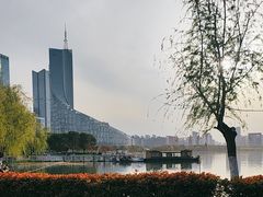 -天鹅湖体育公园