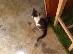 iphone_upload_pic-MIKAKU(万达广场上海宝山店)