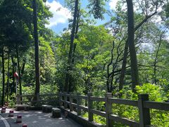 -广州市白云山风景名胜区