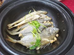 -蛇口康乐快餐鱼仔档(翠苑小区店)