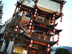 -印象鲵宴·张家界地标美食名片(溪布街店)