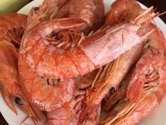 -济南喜来登酒店-盛宴自助西餐厅·综合自助
