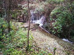 -王顺山国家森林公园