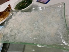 -姚林轩