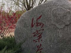 -永定河休闲森林公园