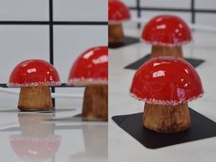 小蘑菇-夏佐CHASEL(横店康庄路店)