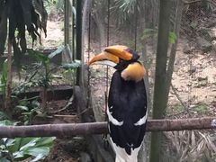 -吉隆坡雀鸟公园