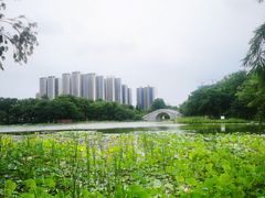 -映月湖公园
