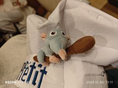 -巴黎迪士尼乐园