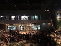 -自贡恐龙博物馆