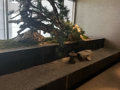 -新荣记(建国门外大街店)