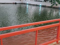 -向外鱼乐·土菜·虹鳟鱼