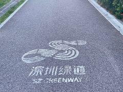 专门的路道-立新湖公园