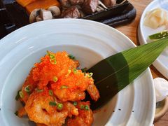 火警虾-Hatsune隐泉日式料理(三里屯太古里店)