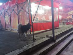 -永刚烧烤(大夜市店)