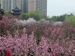 -堤角公园