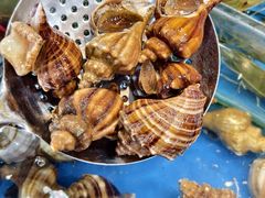 -粤盛海鲜平价店(洛溪食街店)