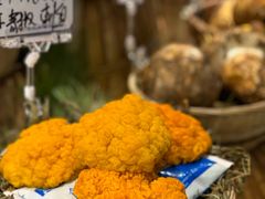 -滇铺子·云南特色菜·鲜花野菜季(东风东路c86店)