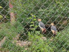 -石家庄市动物园