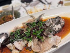 -南麓·浙里(外滩店)