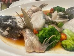 -顺意·顺德家乡菜(国际人才大厦店)