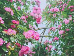 -尚贤河湿地