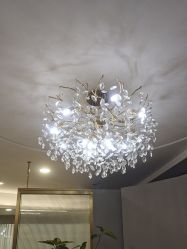 -八佰伴8008星级形象店