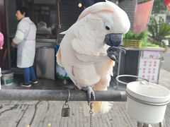 -四海楼(如皋定慧禅寺店)