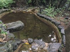 -白草畔自然风景区