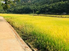 -韶山毛泽东同志故居