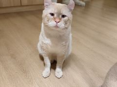 -猫腻·猫咖·撸猫馆(星光大道店)