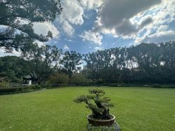 -丁香花园申粤轩·宴会厅