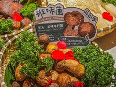 -芸山季·云南野生菌火锅(人民广场来福士店)