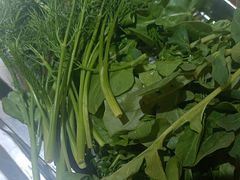 -野菌王•养生汤锅•野生菌火锅(大理漾濞路店)