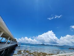 -小海豚•老字号海鲜餐厅(天涯店)