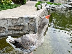 -北京市海淀外国语实验学校