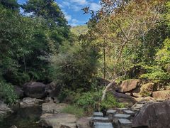 -广州白江湖森林公园