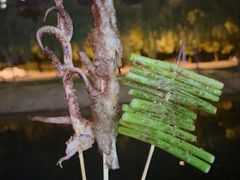 -BABANA烧烤·龙虾·海鲜