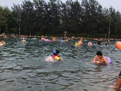 -柳浪游泳场