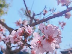 -仙海旅游度假区