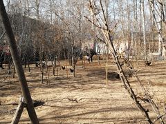 -1982农场