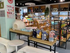 -奈斯宠物医院·核磁CT·异宠专科·内镜(中南店)