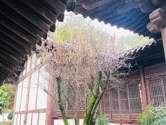 -梦姑塘文化公园