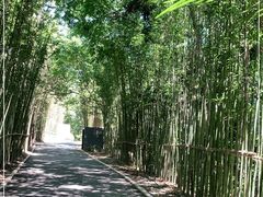 -西湖风景区-江洋畈生态公园