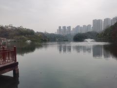 -重庆彩云湖湿地公园